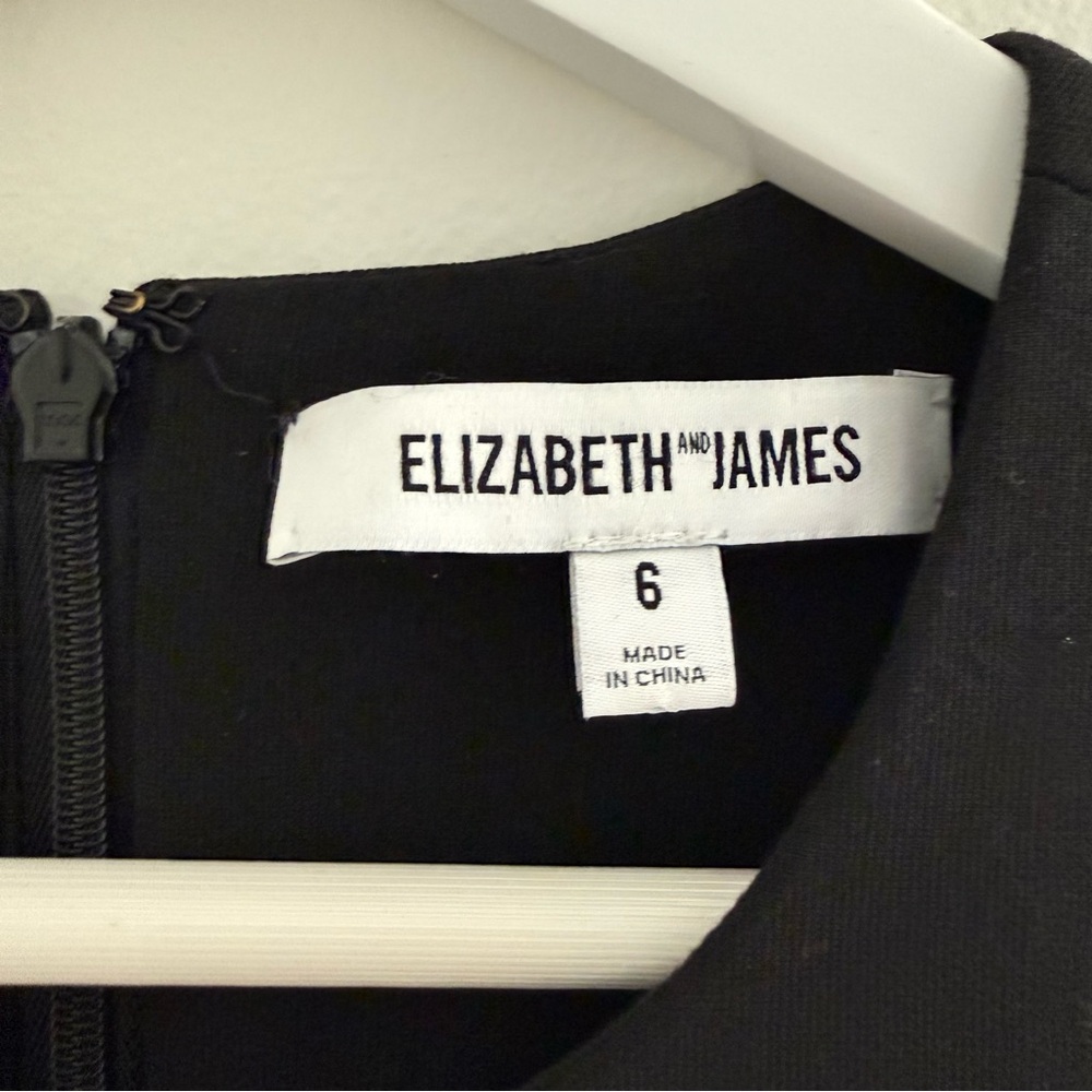 Elizabeth and James Size 6 Black Sleeveless Feather-Hem Mini Dress - Picture 2 of 7